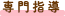専門指導