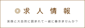 求人情報