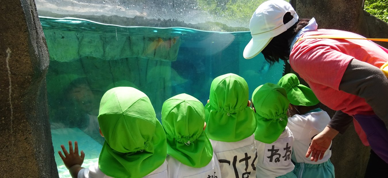 こども園やまなみ